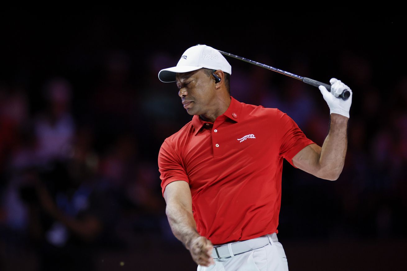 Tiger Woods, TGL