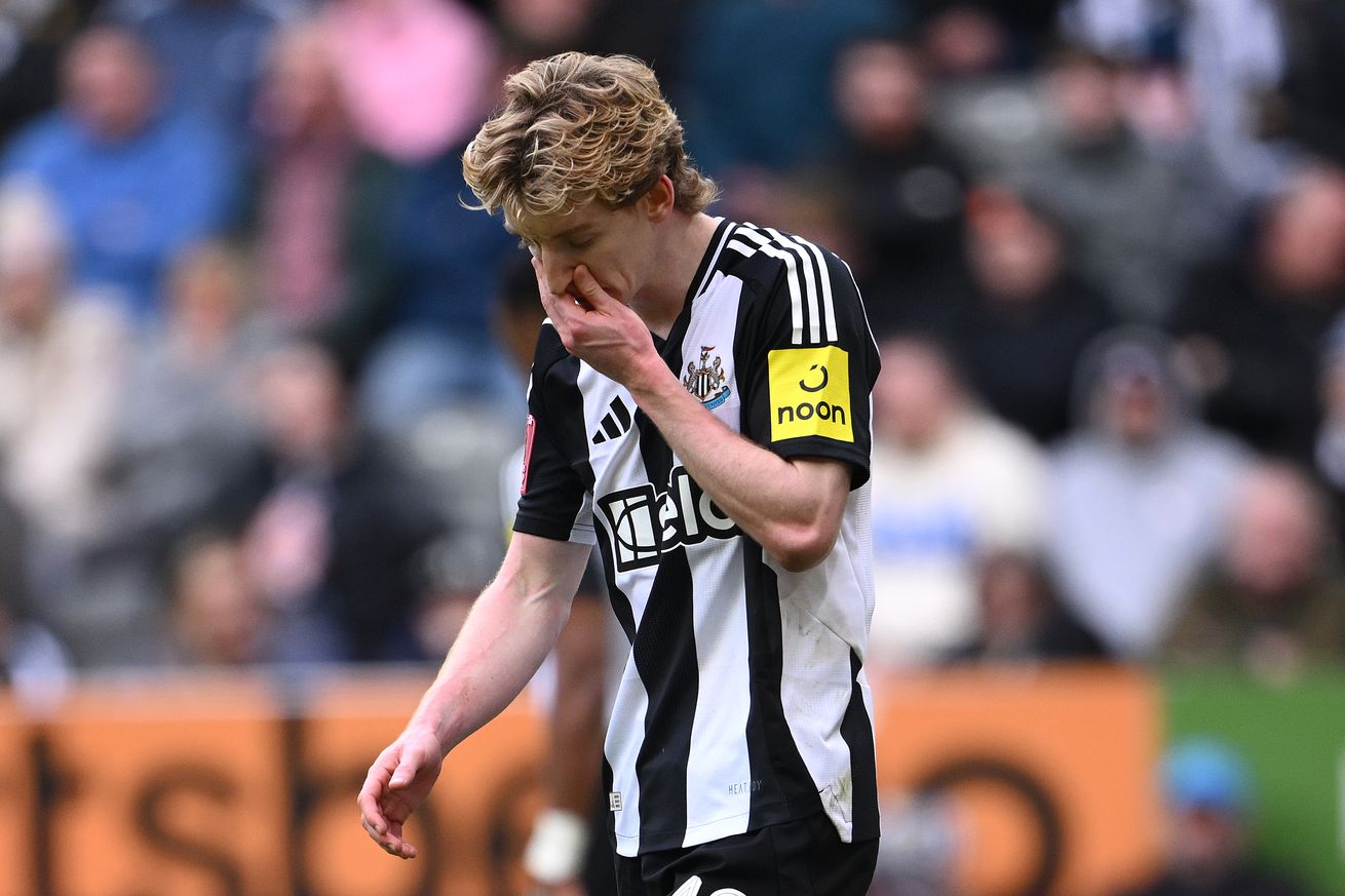 Newcastle United v Brighton & Hove Albion - Emirates FA Cup Fifth Round